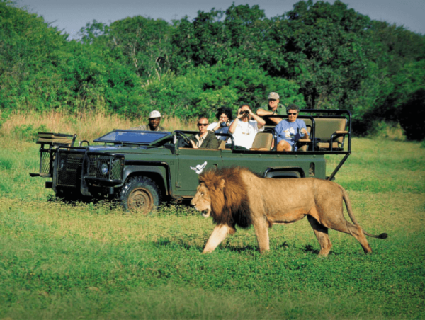 Du lịch Nam Phi mùa nào đẹp Nam Phi có an toàn không Tour Nam Phi 9n8đ Huyền Thoại Lục Địa Đen Vùng đất cầu vồng từ Hà Nội TP Hồ Chí Minh Đằ Nẵng