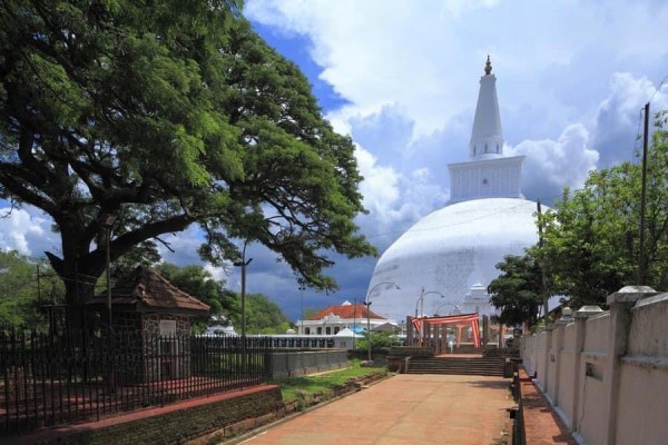 TOUR DU LỊCH SRILANKA  COLOMBO TỪ HÀ NỘI  7 NGÀY 6 ĐÊM 