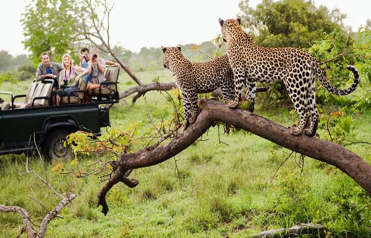 TOUR DU LỊCH NAM PHI CHẤT LƯỢNG CAO 8N7Đ TỪ HÀ NỘI - JOHANNESBURG -PRETORIA-CAPE TOWN -HERMANUS